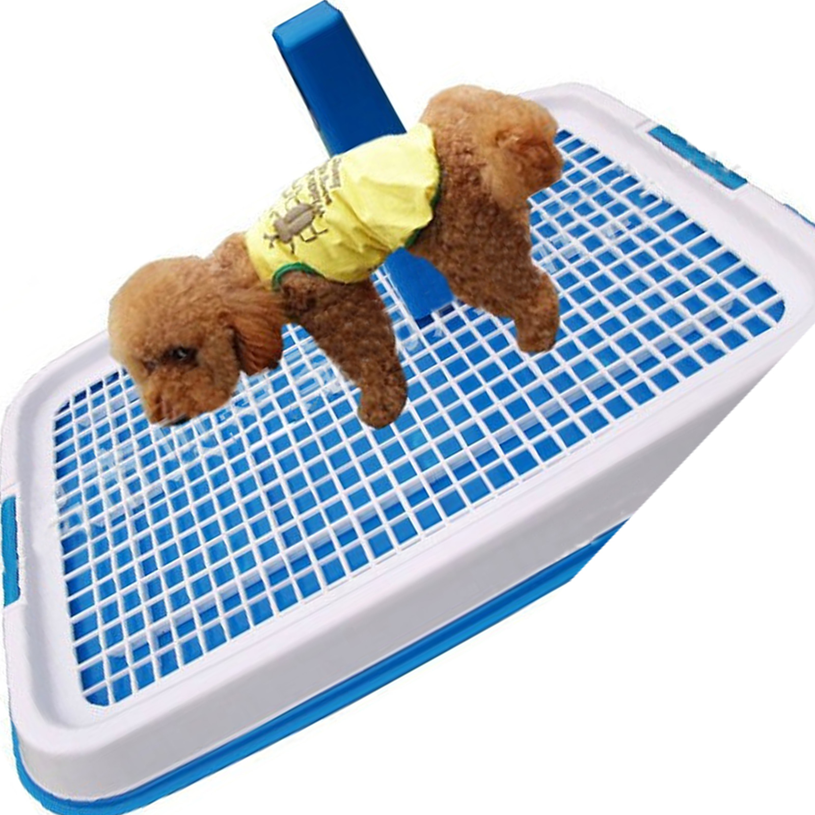 Double Layer Dog Toilet Pads Potty Indoor Pet Litter Training Tray